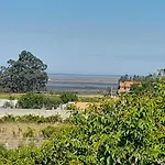 Casa Afonso - Passadicos Do Paco 3* 아베이루