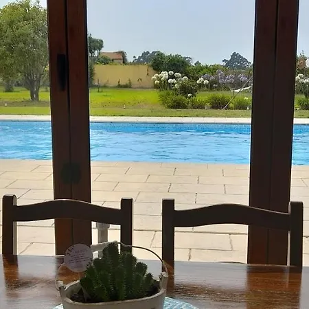 Casa Afonso - Passadicos Do Paco بيت ضيافة أفيرو