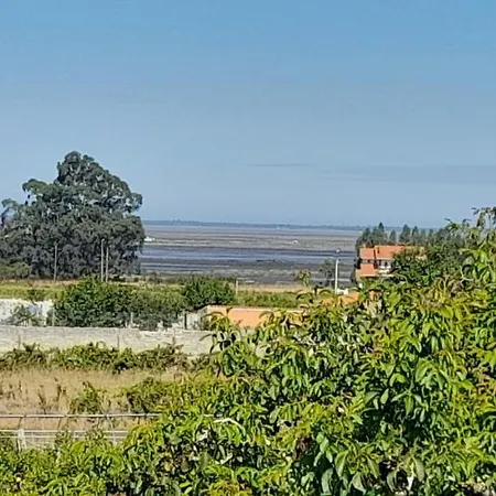 Casa Afonso - Passadicos Do Paco * Aveiro