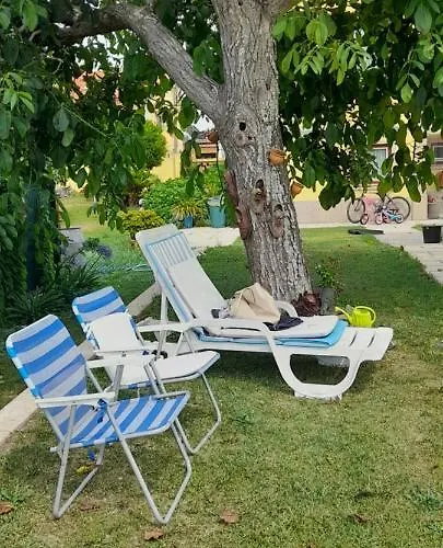 Maison d'hôtes Casa Afonso - Passadiços Do Paço