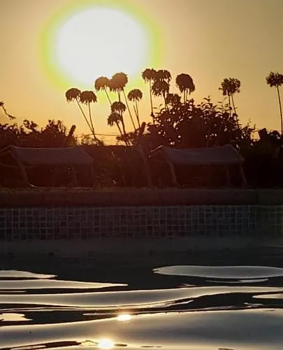 Casa Afonso - Passadiços Do Paço 4*